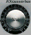 Reflector Tone Knob Black Silver Top