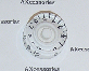 Speed Knob Vintage Style White