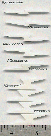 Lightning bolts White acrylic (9pcs)