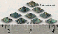 Diamond Abalone Lg 10pcs