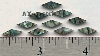 Diamond Abalone Sm 10pcs