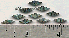 Diamond Abalone Sm 10pcs