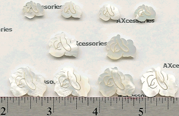 Roses MOP (10pc set)